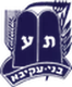 בני עקיבא